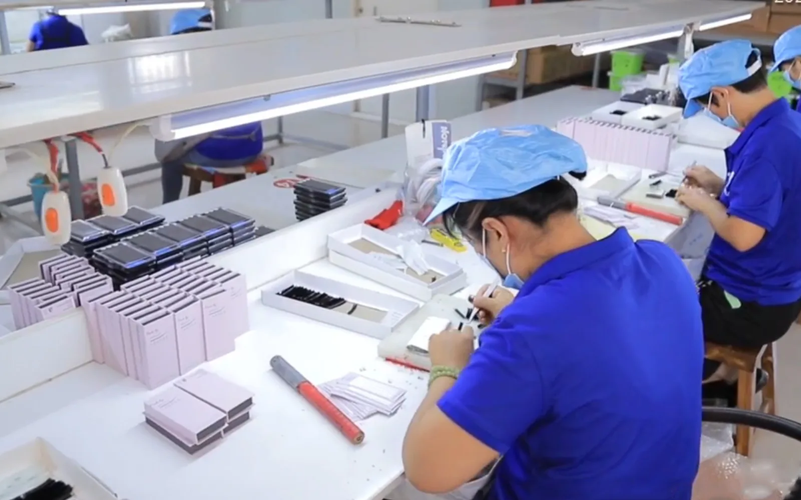 Linia produkcyjna LashPlus